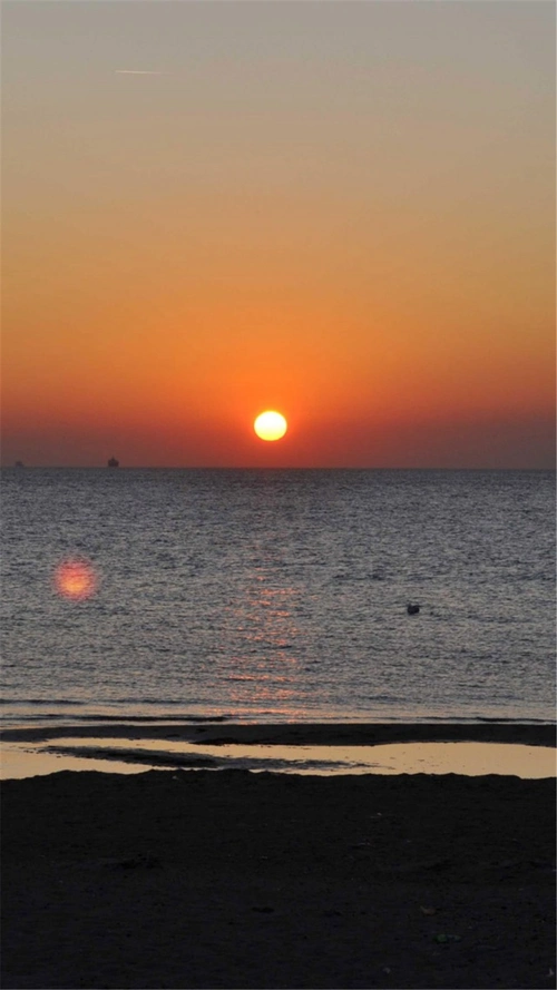 860_1529竖版 竖屏