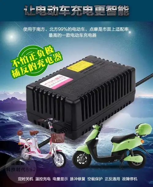 爱玛电动车充电器爱玛原装电动车电瓶充电器36v12ah48v20ah60v30ah64