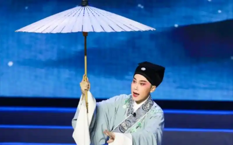 【中华梨园梦】王子瑜——锡剧《珍珠塔》_哔哩哔哩_bilibili