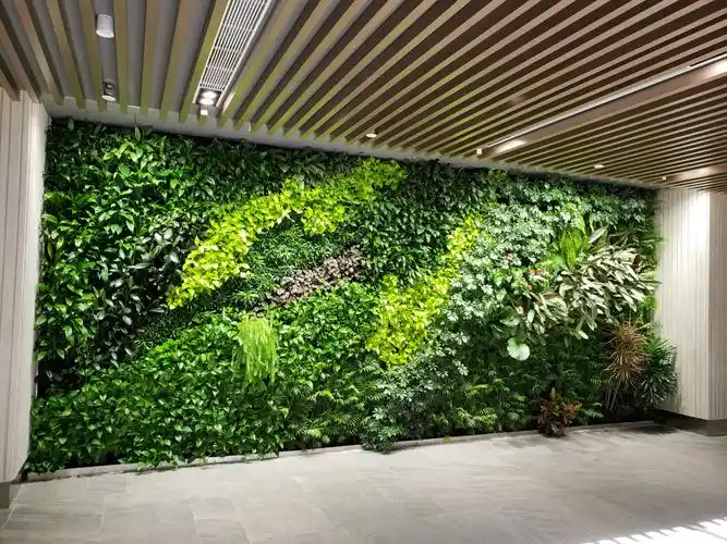 仿真植物墙等待你解锁