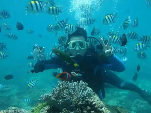 三亚亚龙湾潜水 三亚亚龙湾海底世界远海潜水一日游338元图片_高清图