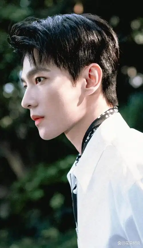 内娱最帅的男艺人排名,张凌赫12林更新第7,成毅第6,刘学义第2