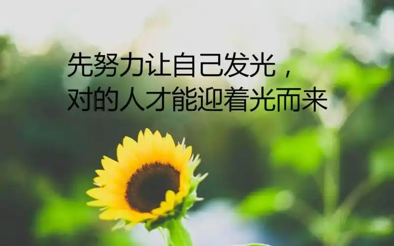 多寻找积极的解决方式,让自己成长和突破,努力提升自己的专业能力和