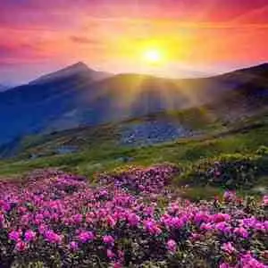 好看的日出图片 日出风景头像图片大全微信头像日出风景图片 仙境般的