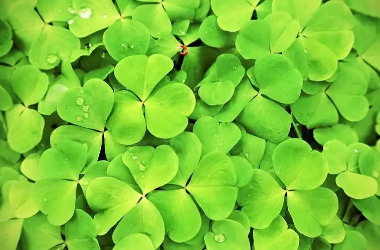 整个抖音都在学的洗发水实用技能再不学你就out了