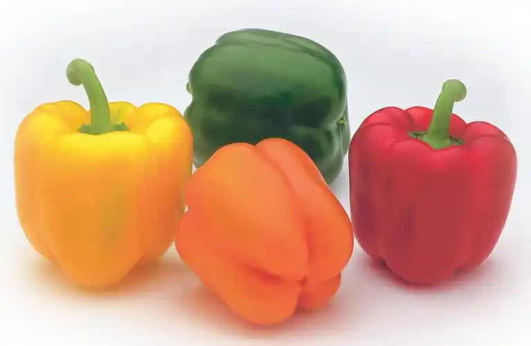 yellow, orange, red, and green bell peppers