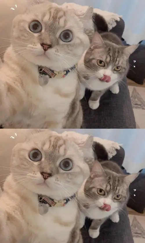 高清拼接手机壁纸锁屏