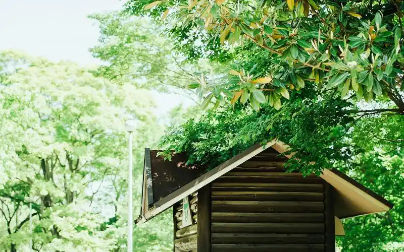 绿色小清新护眼文艺高清壁纸高清大图预览1920x1200_风景壁纸下载_美