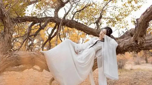 白衣飘飘小仙女温婉汉服写真