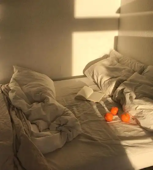 阳光洒进房间 15_高清图集_新浪网