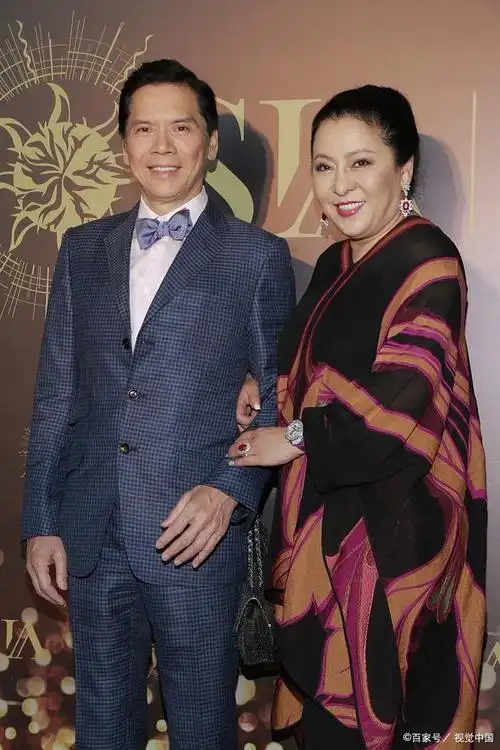 看了年轻时的"向太"陈岚,才明白为什么选择郭碧婷做儿媳