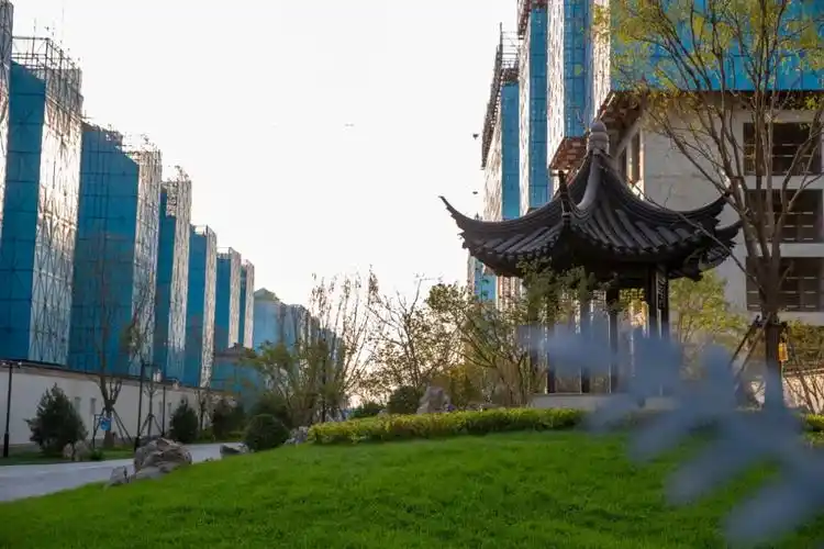 颐和雅园丨负重生活的精神归属地