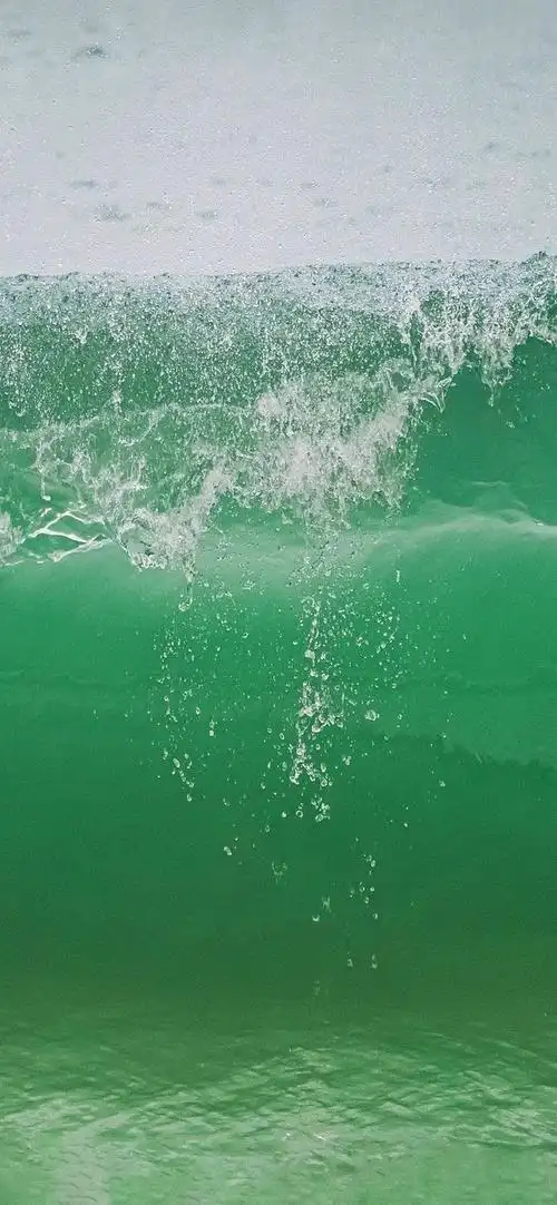 求求绿色的壁纸