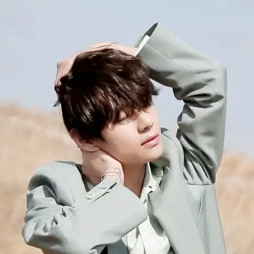 防弹少年团金泰亨头像