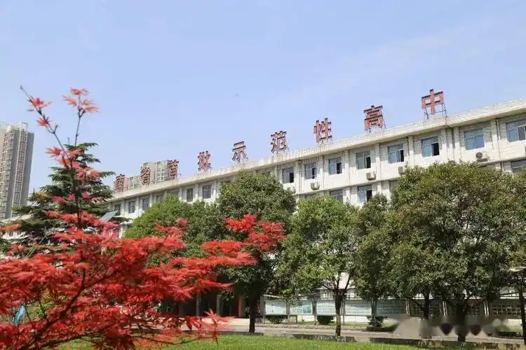 直击中考洛阳理工附中带你科学准确填报2022年中招志愿