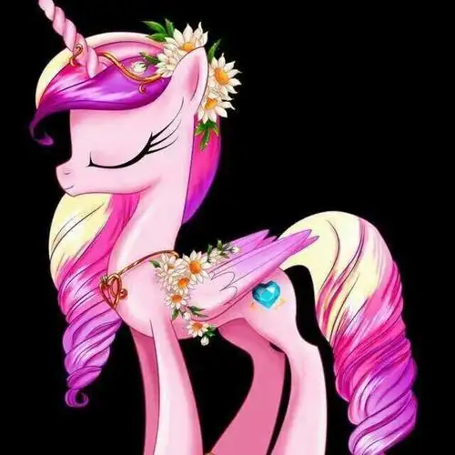 p>音韵公主(princess cadence)全名米阿默卡丹纱公主(mi amore