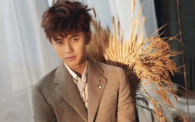 娱乐点评:肖战,杨幂,关晓彤,王丽坤,任嘉伦,陈晓