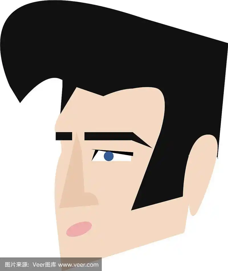 猫王的发型或颜色