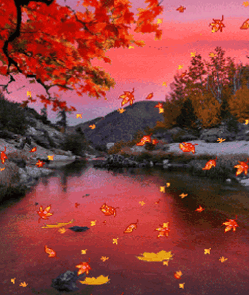 352_416gif 动态图 动图