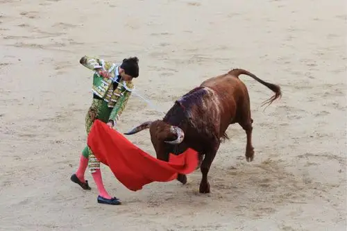 [西班牙斗牛] 地点:西班牙马德里 时间:2018.7.1 拍摄制作:xuejy