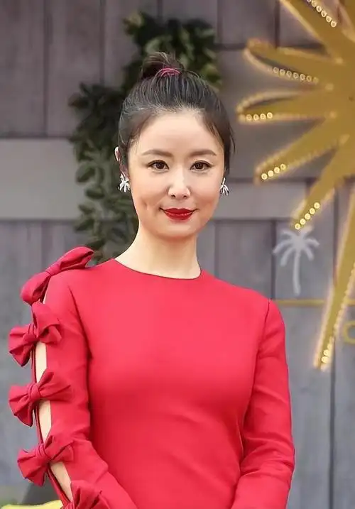 另外就是发型上的问题,林心如圆脸儿五官又比较突出,其实这种没有任何