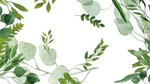 绿色小清新风格年中工作总结ppt模板ppt通用模板