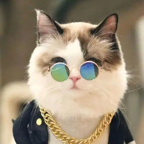 心累到一定的程度,连生气和计较的念头都没有了