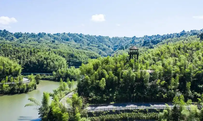 这是6月25日拍摄的赤水竹海国家森林公园风光(无人机照片).