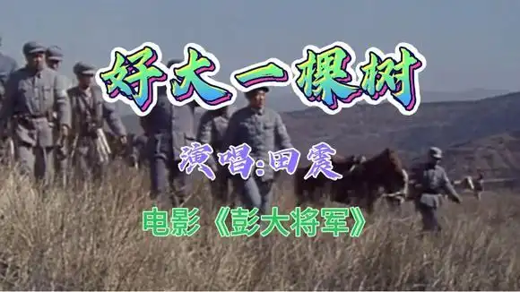 向彭德怀元帅致敬!田震《好大一棵树》-音乐视频-搜狐视频