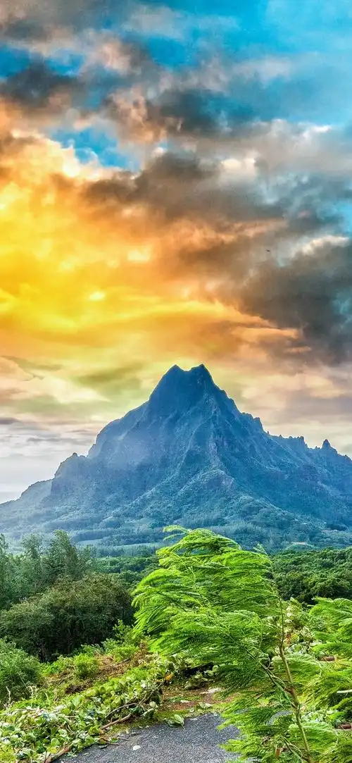 1080_2340竖版 竖屏