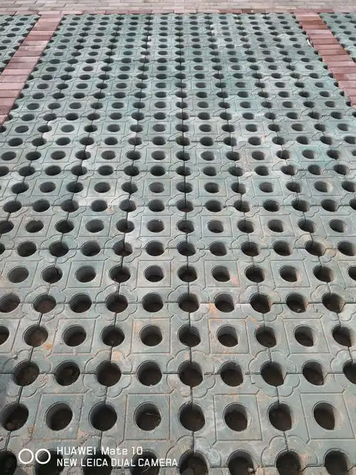 2.植草式透水砖停车位铺设完成