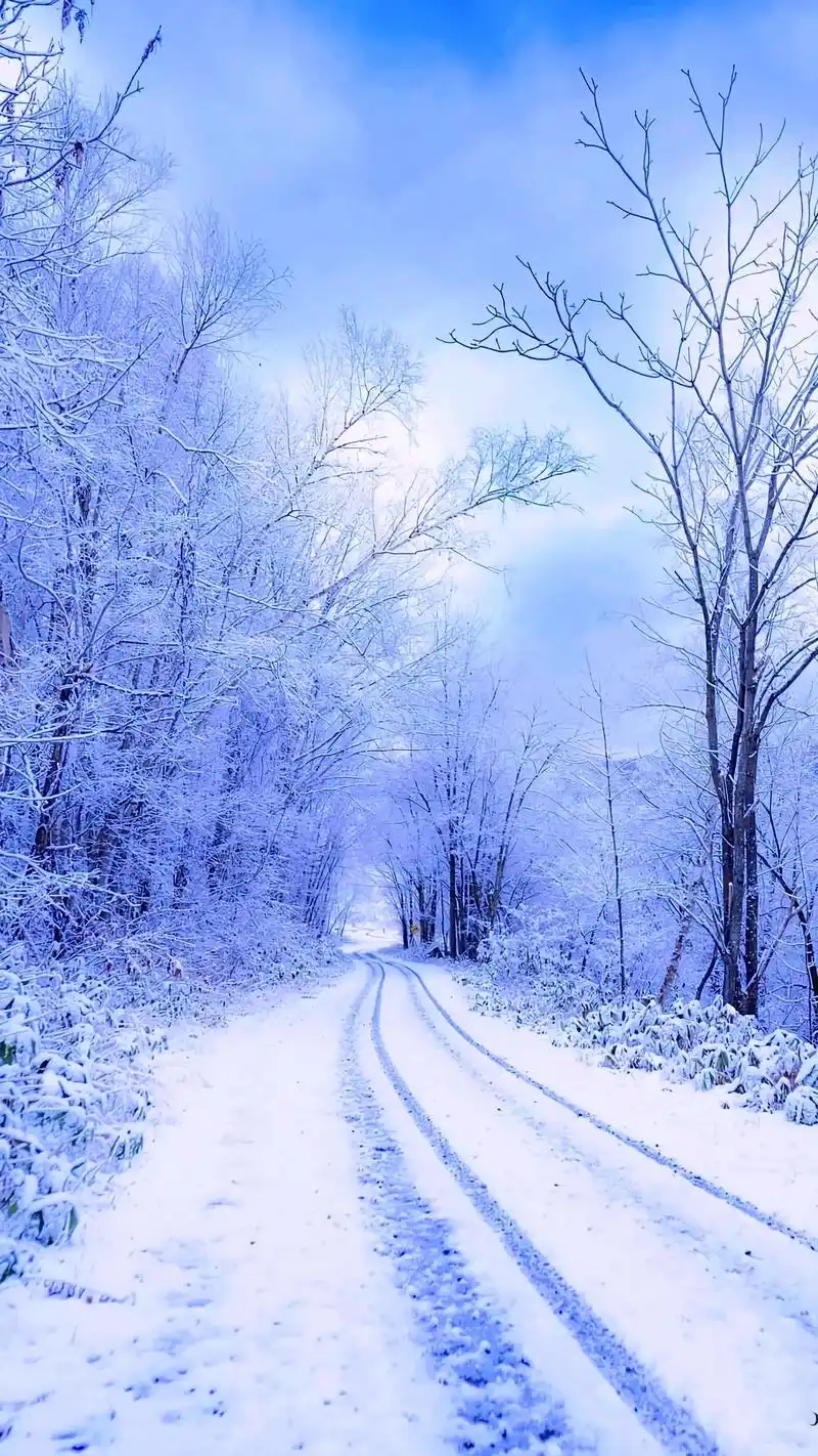 我时常在想,到底是怎样的人,会喜欢下雪天#壁纸 #抖音图文来 - 抖音