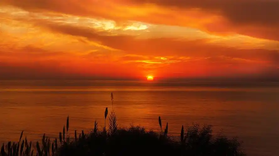 金色的夕阳唯美高清桌面壁纸