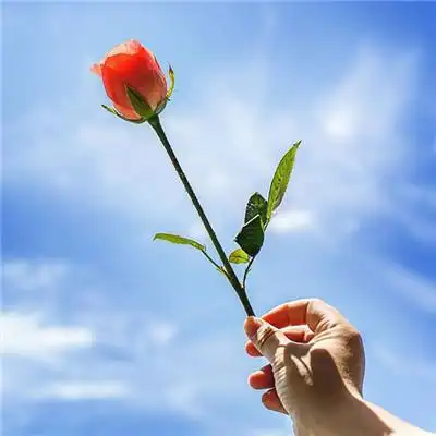 幸运头像微信专用2020 好运头像图片大全 - 微信头像 - 潮人个性网