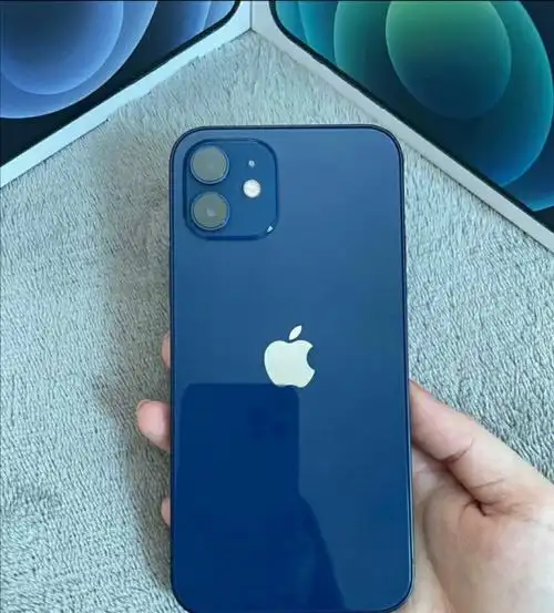 苹果12蓝色1433