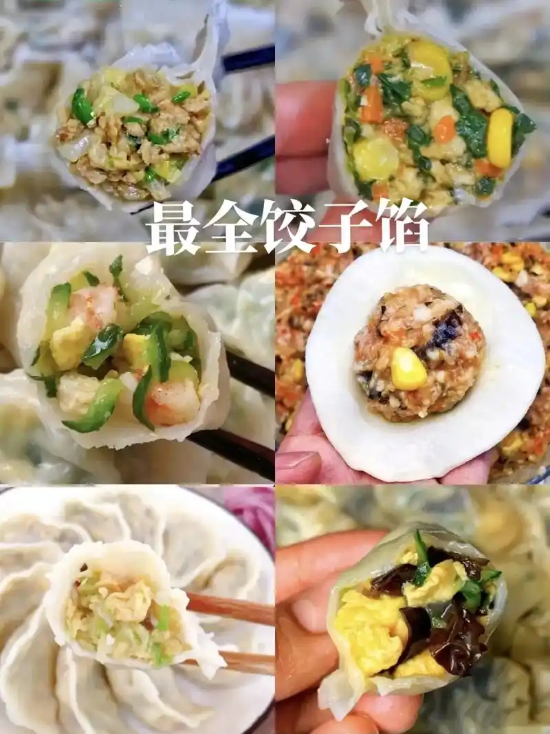 11种饺子馅做法,总有你喜欢的一种#饺子馅 #万能饺子馅 # - 抖音