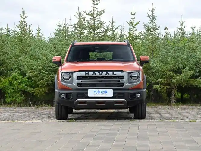 长城汽车 哈弗大狗 2024款 1.5t dct边牧版