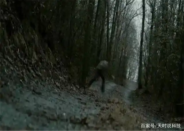 "鬼打墙"是怎么回事?古人说的并不是迷信,科学上已有答案!