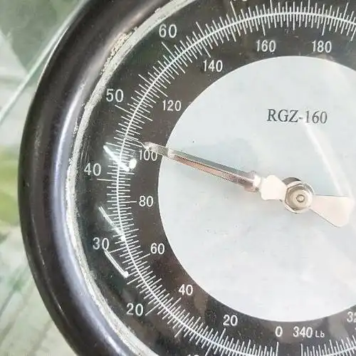 体重称上的刻度每一格代表多少?