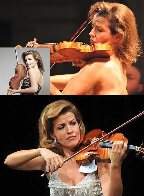 小提琴参考资料和注意点画图cosplay用