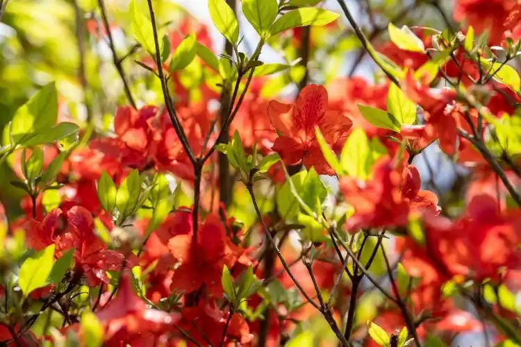 明月山旅游区入选"长江风景揽胜之旅"线路!_迈点网
