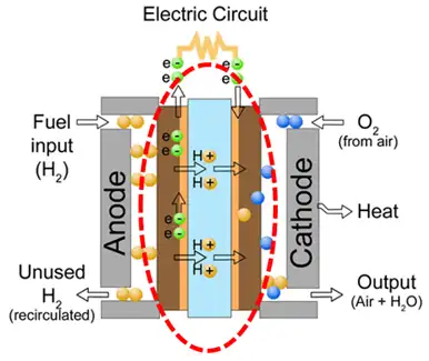 1. 燃料电池的结构及运作示意图