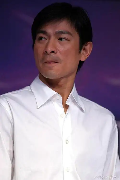 这些视频中,刘德华站在舞台的升降台上,通过手势反复传达着"让舞台