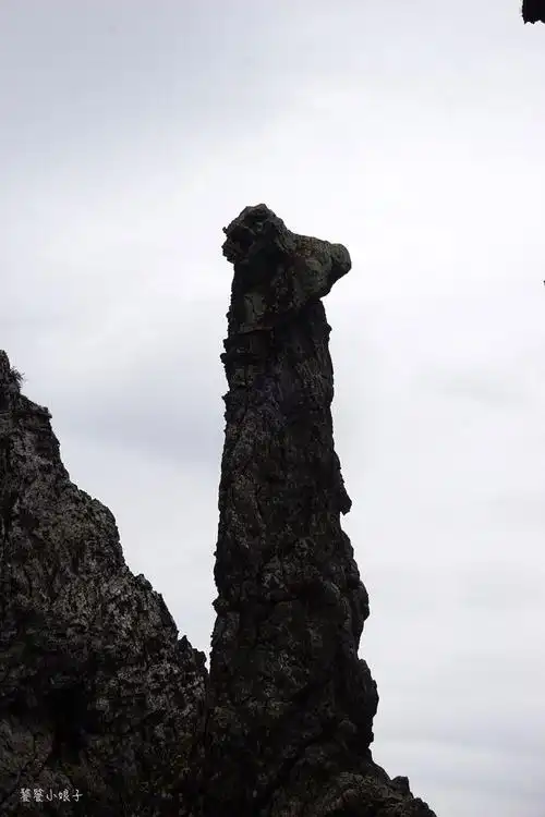 武当一剑取景地美女照镜生命之根野人头你看到了吗