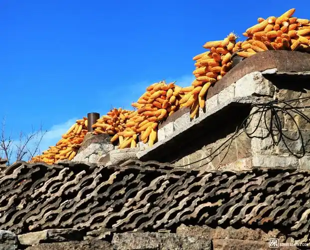 北方农村好诱人