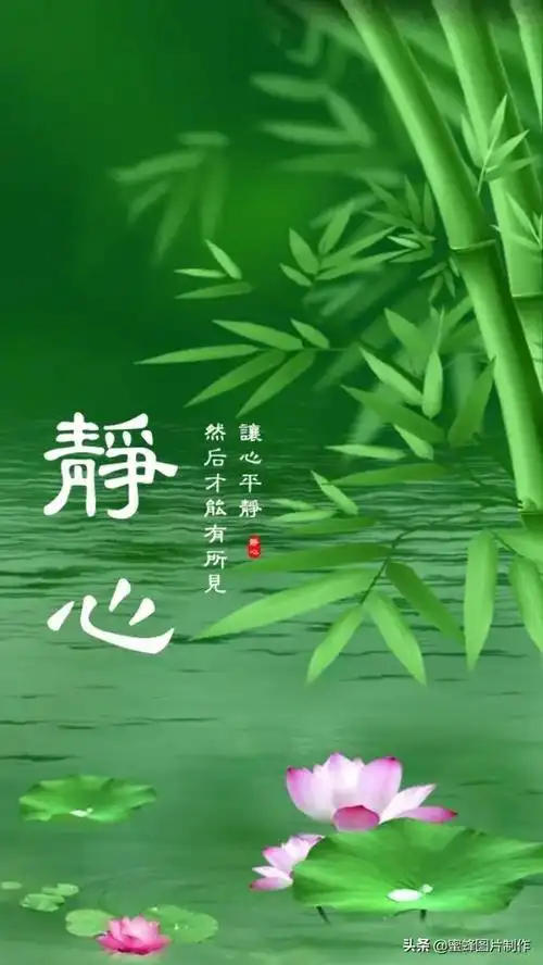 超养眼的手机壁纸,漂亮养眼的手机屏幕壁纸(手机壁纸,养眼护眼舒心