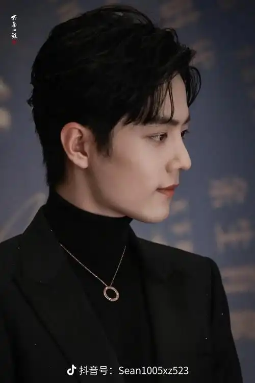 看着你走到顶峰了#肖战 - 抖音