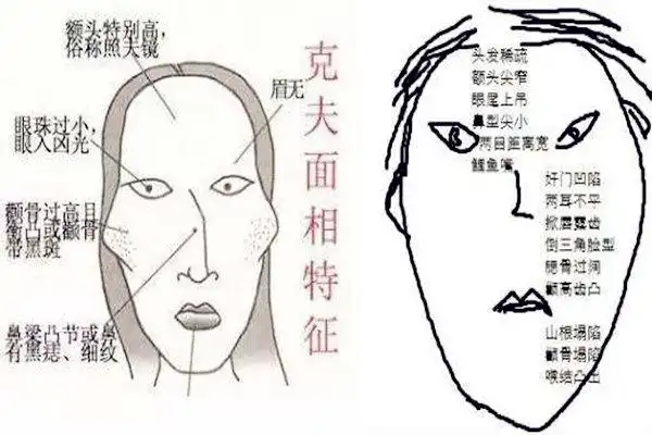 天庭长什么样算好