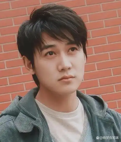 刘德华鹰钩鼻不好看,而说黎明要么就是五官平平,然后又说人家脸大