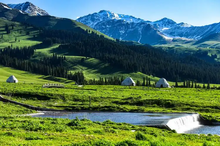 是世界四大草原之一的亚高山草甸植物区,自古以来就是著名的牧场,优美